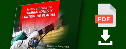 fumigacion de casas